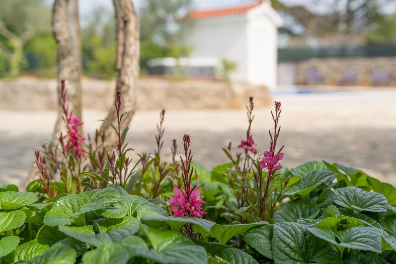Stone Lady Holiday Home With Pool&Hot Tub,Sauna,Bbq,Garden Rasopasno Buitenkant foto